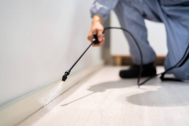 Best Pest Prevention Services  in Livingston, TN